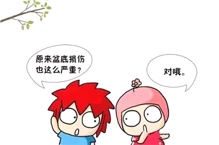 為何剖腹產(chǎn)也要做盆底康復(fù)？