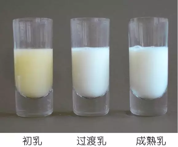 母乳營養(yǎng)成分檢測，母乳分析儀的好處您知多少？