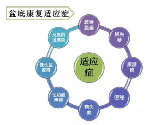 都在想盆底康復治療儀品牌，為何別人看的是盆底康復治療儀的功效與作用