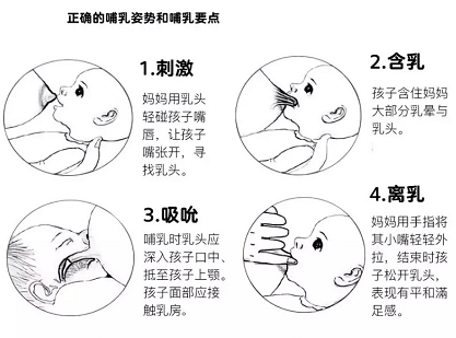 母乳檢測因人而異，但母乳分析儀產后修復中心必須具備