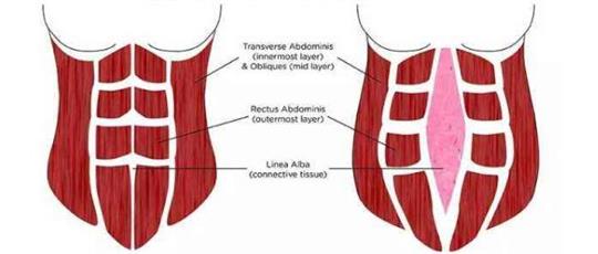 熱門(mén)話題之產(chǎn)后腹直肌分離如何康復(fù)，腹直肌修復(fù)儀器功不可沒(méi)
