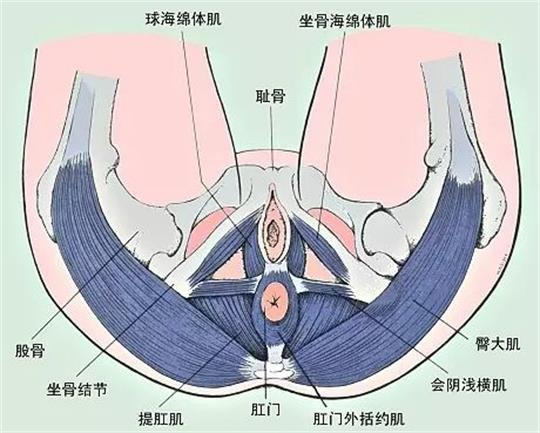 產(chǎn)康門店創(chuàng)業(yè)，開展什么產(chǎn)康項目合適呢？