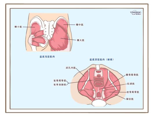 盆底康復(fù)治療儀可以緩解絕經(jīng)后出現(xiàn)的癥狀嗎？