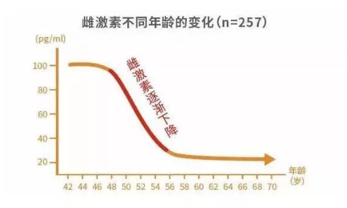 盆底肌檢測(cè)