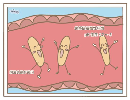 盆底康復(fù)治療儀.jpg